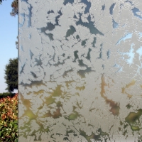 1464796343_glass-coral